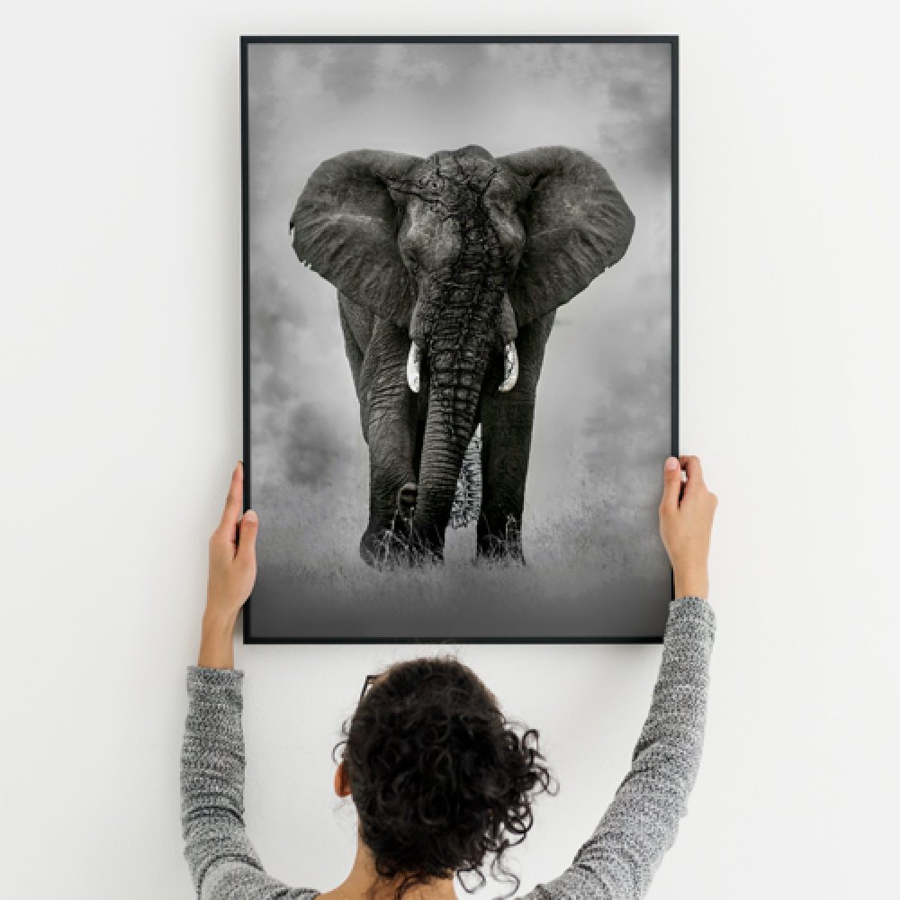 ACRYLIC PRINT WITH READYMADE FRAMES